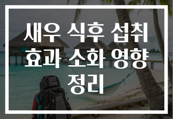 새우 식후 섭취 효과 소화 영향 정리
