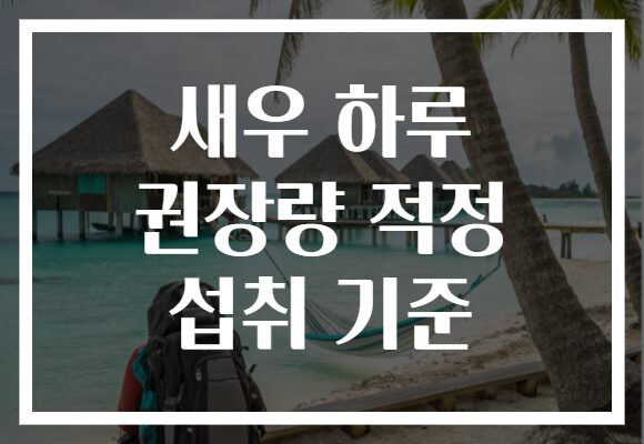 새우 하루 권장량 적정 섭취 기준