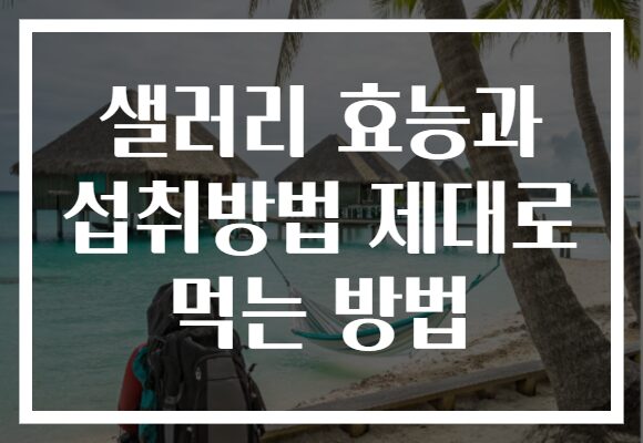 샐러리 효능과 섭취방법 제대로 먹는 방법