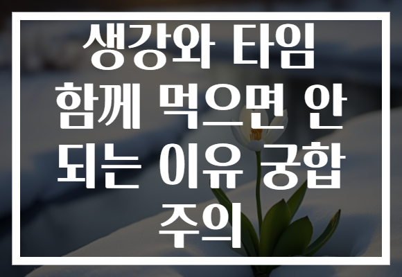 생강와 타임 함께 먹으면 안 되는 이유 궁합 주의