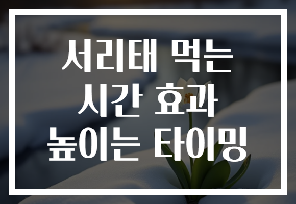 서리태 먹는 시간 효과 높이는 타이밍