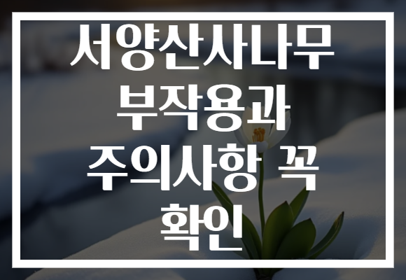 서양산사나무 부작용과 주의사항 꼭 확인
