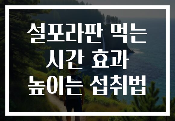 설포라판 먹는 시간 효과 높이는 섭취법