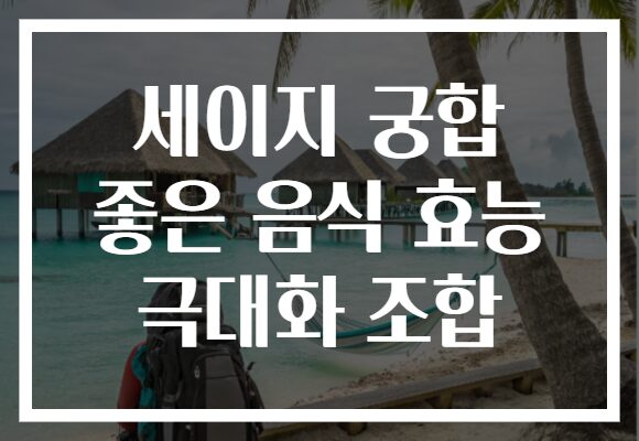 세이지 궁합 좋은 음식 효능 극대화 조합