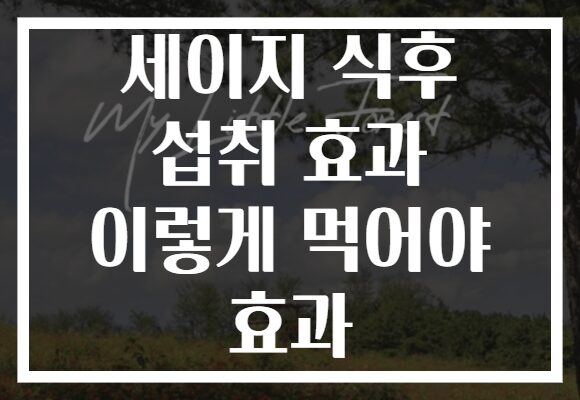 세이지 식후 섭취 효과 이렇게 먹어야 효과