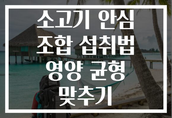 소고기 안심 조합 섭취법 영양 균형 맞추기