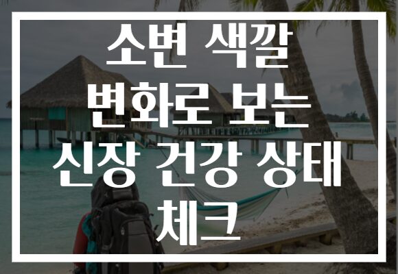 소변 색깔 변화로 보는 신장 건강 상태 체크