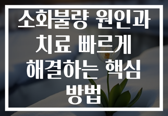 소화불량 원인과 치료 빠르게 해결하는 핵심 방법