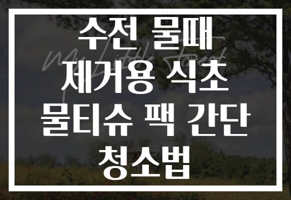 수전 물때 제거용 식초 물티슈 팩 간단 청소법