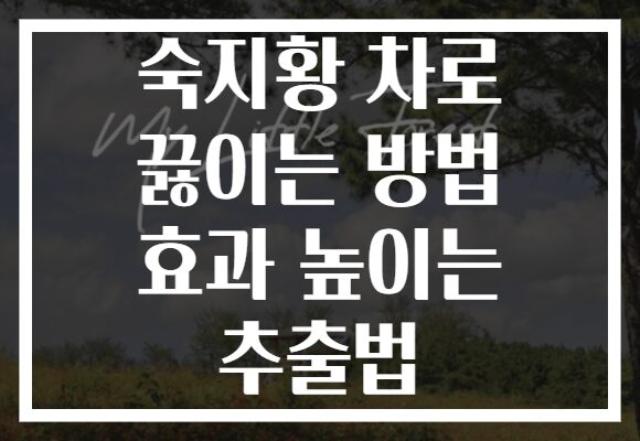 숙지황 차로 끓이는 방법 효과 높이는 추출법