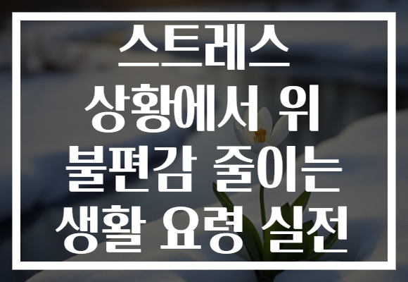 스트레스 상황에서 위 불편감 줄이는 생활 요령 실전