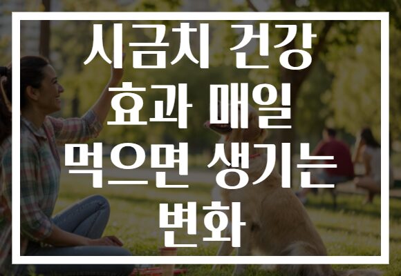 시금치 건강 효과 매일 먹으면 생기는 변화
