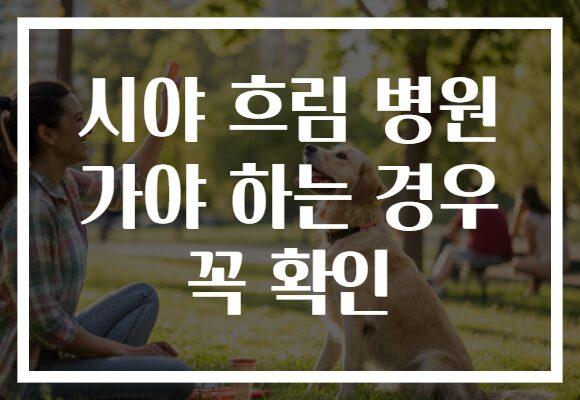 시야 흐림 병원 가야 하는 경우 꼭 확인