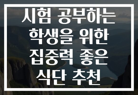 시험 공부하는 학생을 위한 집중력 좋은 식단 추천