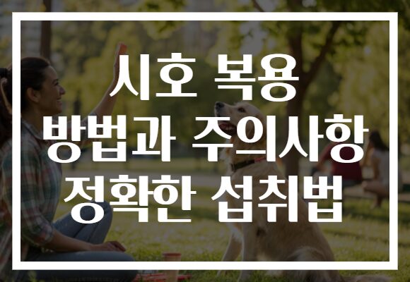 시호 복용 방법과 주의사항 정확한 섭취법