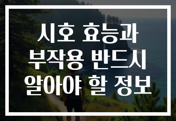 시호 효능과 부작용 반드시 알아야 할 정보