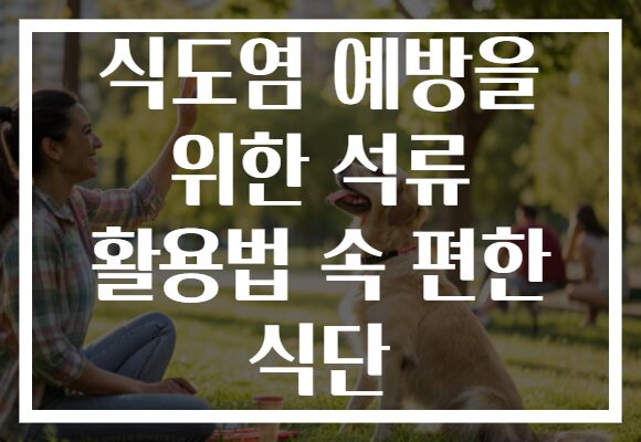 식도염 예방을 위한 석류 활용법 속 편한 식단