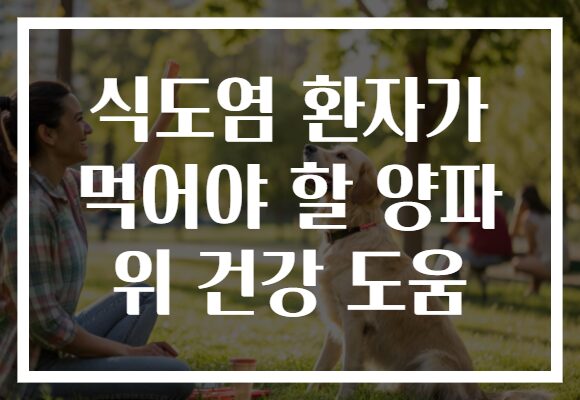 식도염 환자가 먹어야 할 양파 위 건강 도움