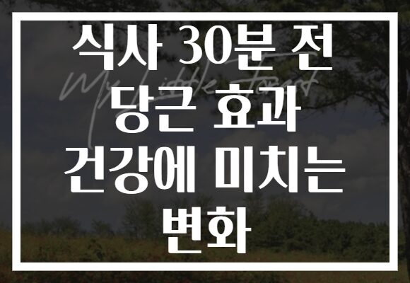 식사 30분 전 당근 효과 건강에 미치는 변화