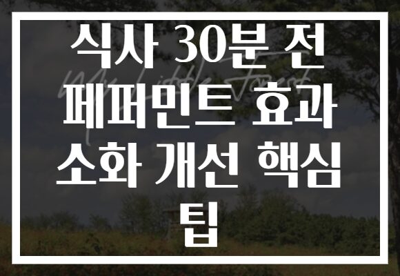 식사 30분 전 페퍼민트 효과 소화 개선 핵심 팁