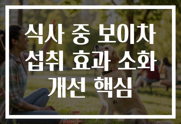 식사 중 보이차 섭취 효과 소화 개선 핵심