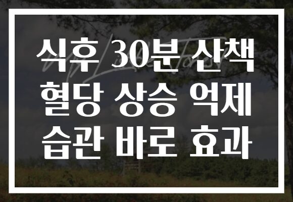 식후 30분 산책 혈당 상승 억제 습관 바로 효과