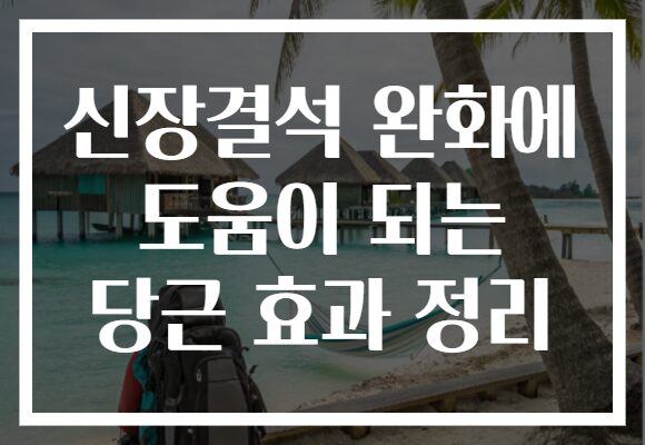 신장결석 완화에 도움이 되는 당근 효과 정리