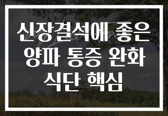 신장결석에 좋은 양파 통증 완화 식단 핵심