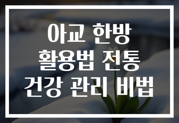 아교 한방 활용법 전통 건강 관리 비법