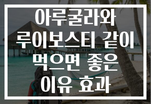 아루굴라와 루이보스티 같이 먹으면 좋은 이유 효과