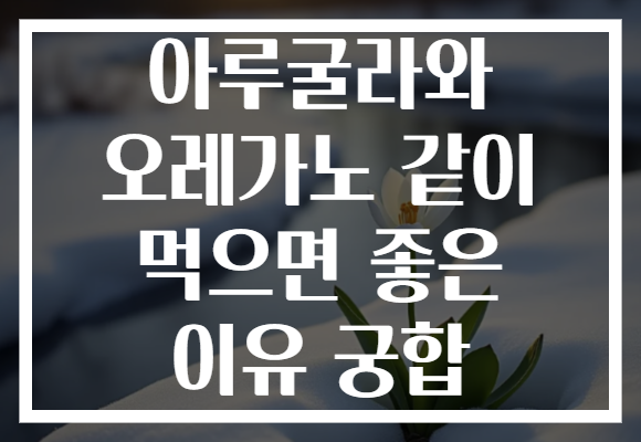 아루굴라와 오레가노 같이 먹으면 좋은 이유 궁합