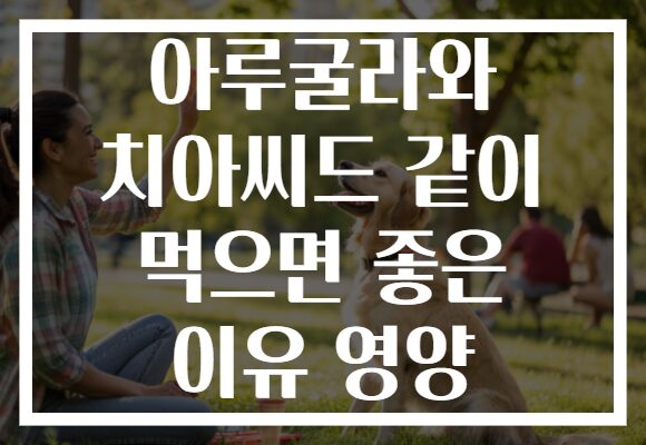 아루굴라와 치아씨드 같이 먹으면 좋은 이유 영양