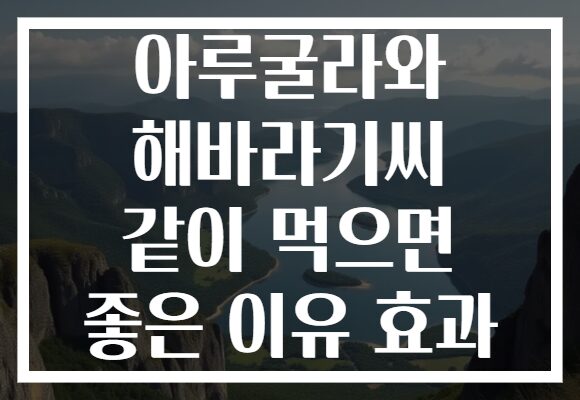 아루굴라와 해바라기씨 같이 먹으면 좋은 이유 효과