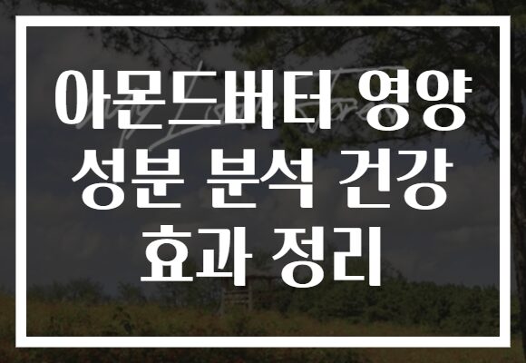 아몬드버터 영양 성분 분석 건강 효과 정리