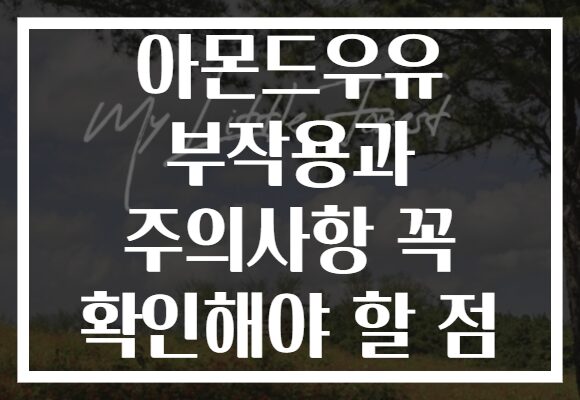 아몬드우유 부작용과 주의사항 꼭 확인해야 할 점