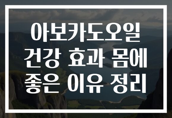 아보카도오일 건강 효과 몸에 좋은 이유 정리