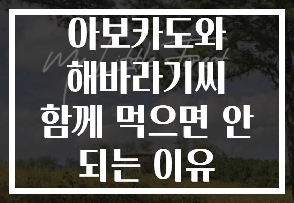아보카도와 해바라기씨 함께 먹으면 안 되는 이유