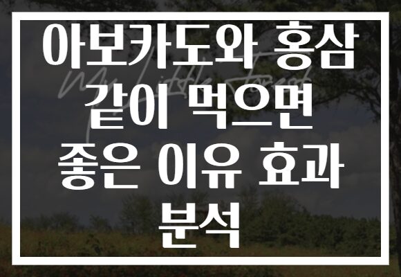 아보카도와 홍삼 같이 먹으면 좋은 이유 효과 분석