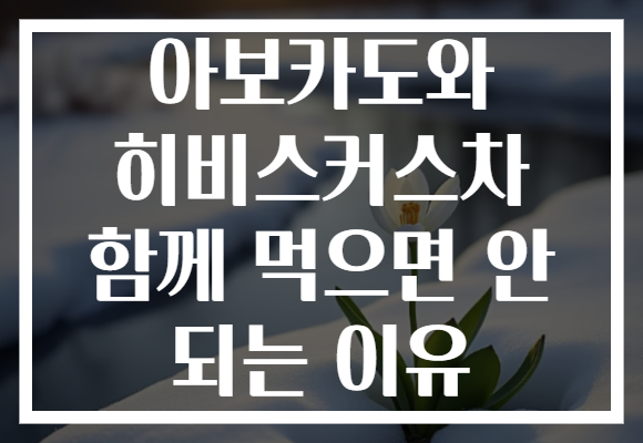 아보카도와 히비스커스차 함께 먹으면 안 되는 이유