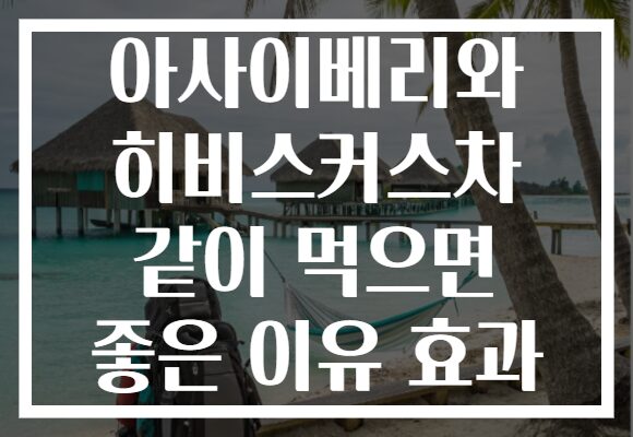 아사이베리와 히비스커스차 같이 먹으면 좋은 이유 효과