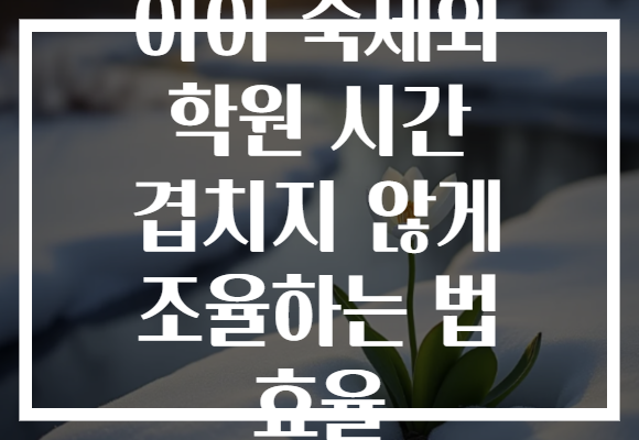 아이 숙제와 학원 시간 겹치지 않게 조율하는 법 효율