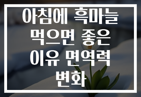 아침에 흑마늘 먹으면 좋은 이유 면역력 변화