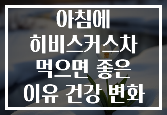 아침에 히비스커스차 먹으면 좋은 이유 건강 변화