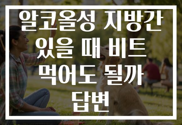 알코올성 지방간 있을 때 비트 먹어도 될까 답변