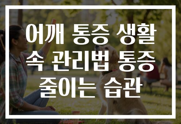 어깨 통증 생활 속 관리법 통증 줄이는 습관