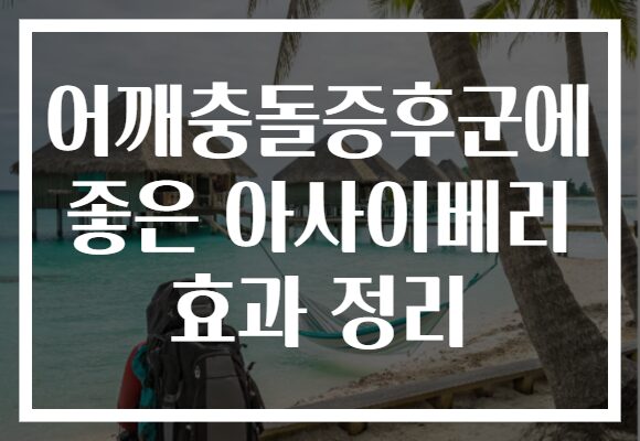 어깨충돌증후군에 좋은 아사이베리 효과 정리