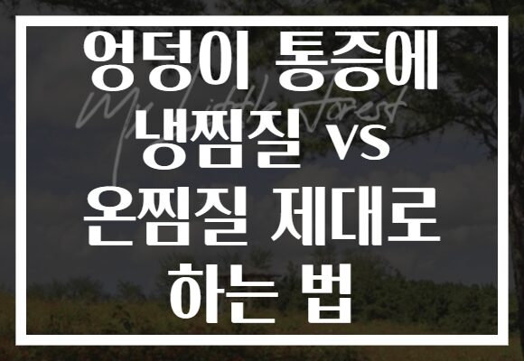 엉덩이 통증에 냉찜질 vs 온찜질 제대로 하는 법