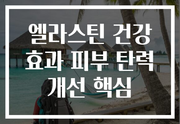 엘라스틴 건강 효과 피부 탄력 개선 핵심