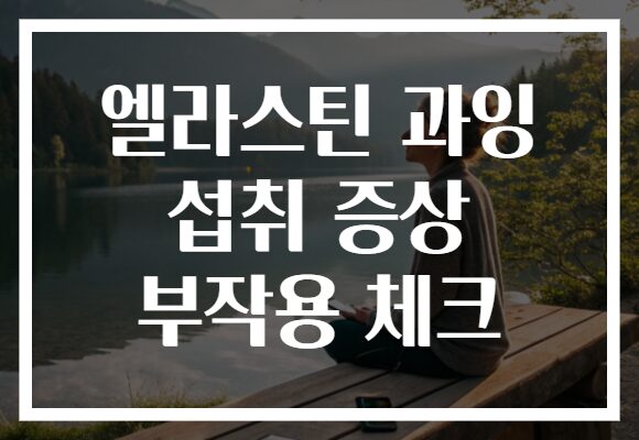 엘라스틴 과잉 섭취 증상 부작용 체크