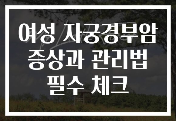 여성 자궁경부암 증상과 관리법 필수 체크